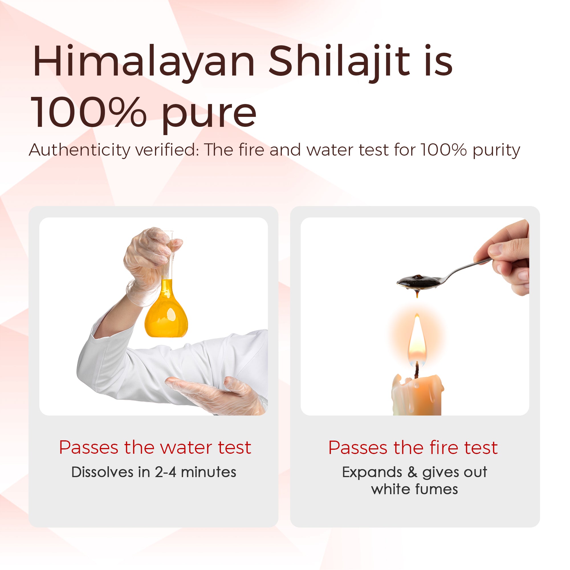PURE HONEY SHILAJIT - 20G